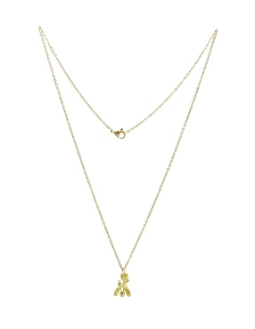 Collar de perro Nk Steel