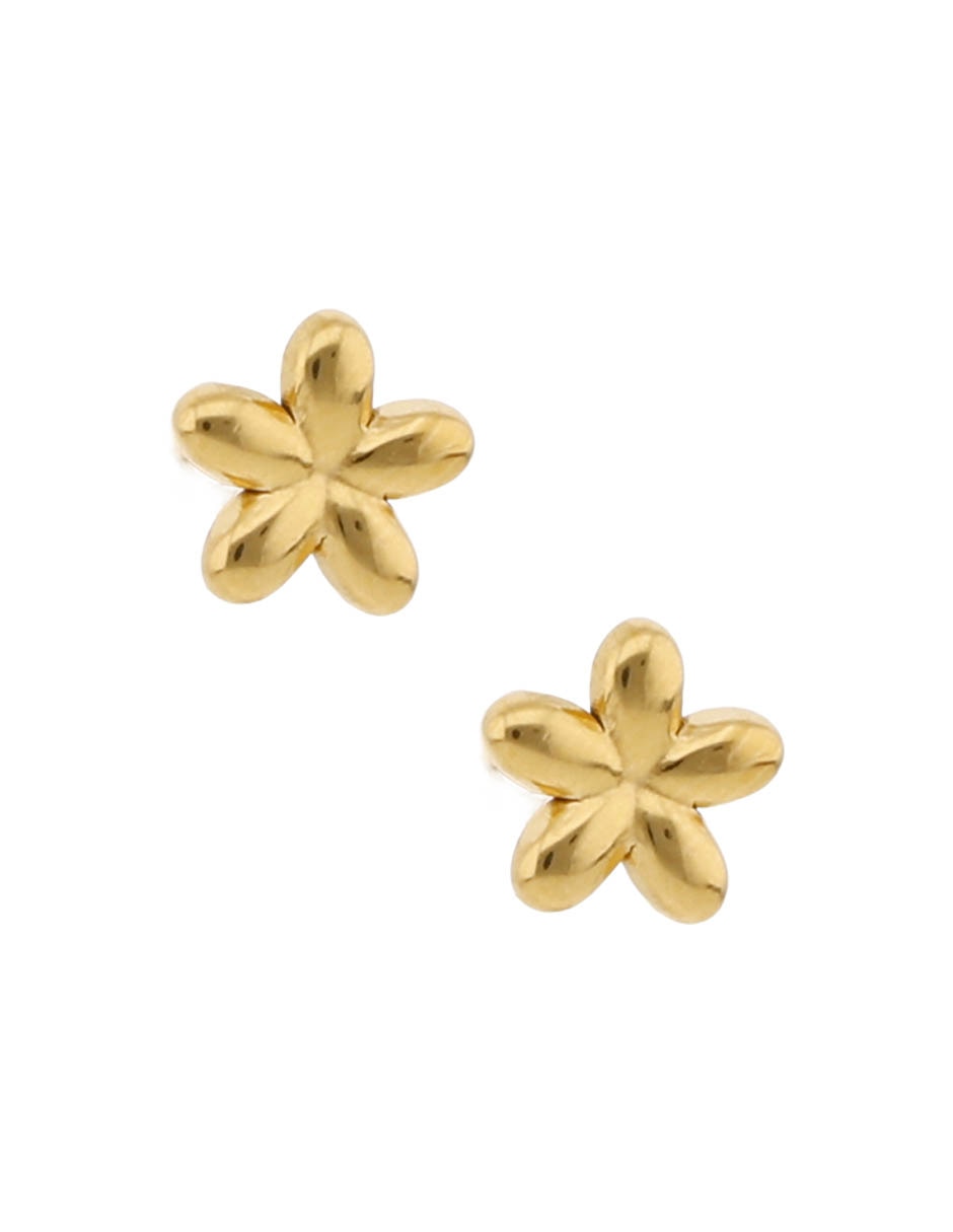 Broqueles de flor con acabado pulido Broqueles de flor con acabado pulido