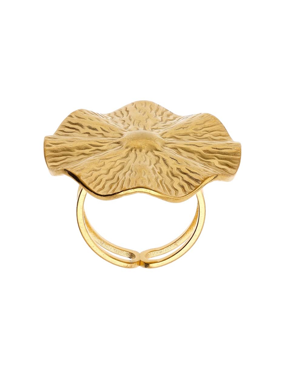 Anillo brillante 2