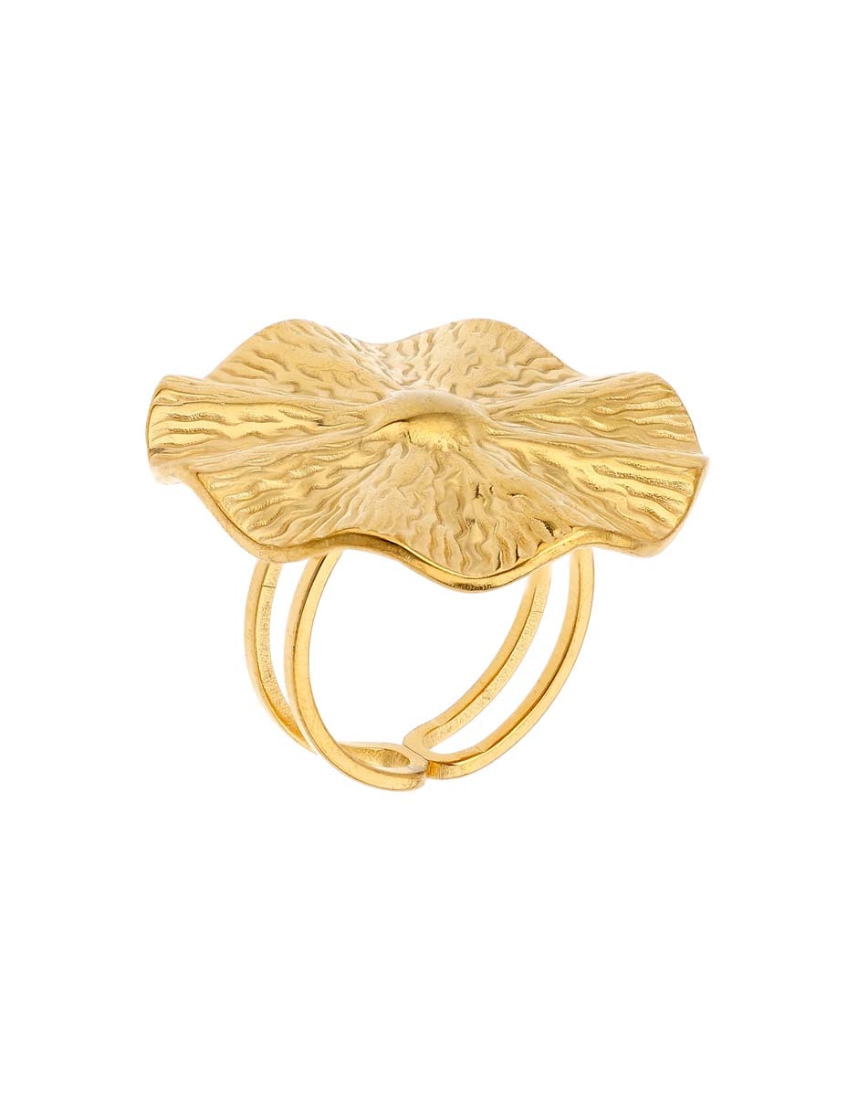 Anillo brillante 3